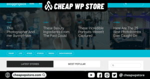 BloggingBox - MultiPurpose WordPress Blogging Theme For Professional Bloggers