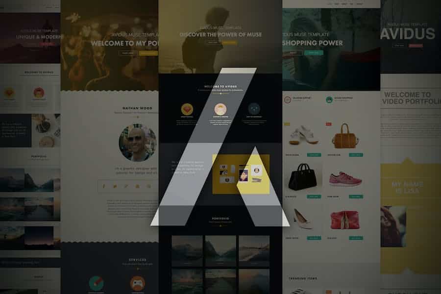 Avidus - Multipurpose Muse Template for Creatives