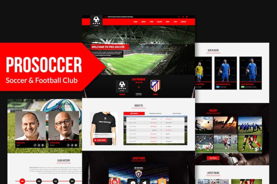 Pro Soccer - Football & Soccer Muse Template