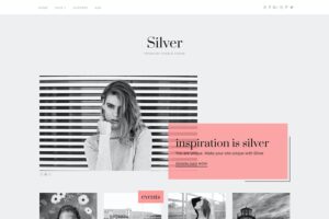 Silver Tumblr Theme